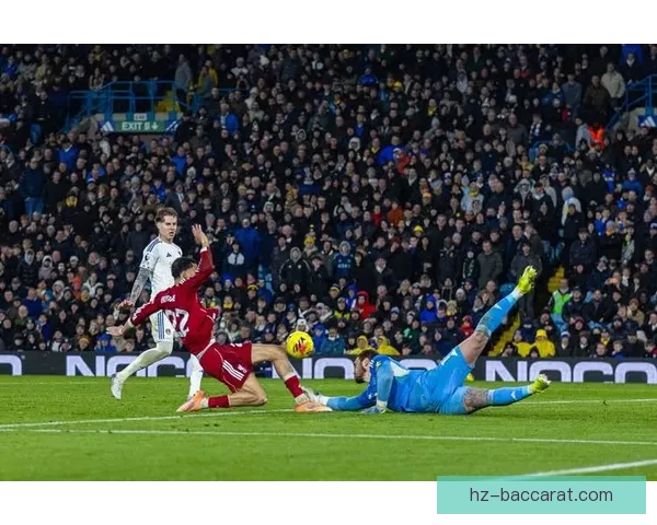 加克波拉起倒地科尔克茨，利物浦球员赛后握手展现体育精神